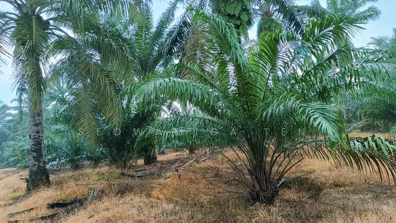 26.75 Acre Agriculture Land At Gerisek,Bukit Gambir untuk Untuk Dijual - RM 5,617,500, Apr 2026 - PropertyGuru.com.my