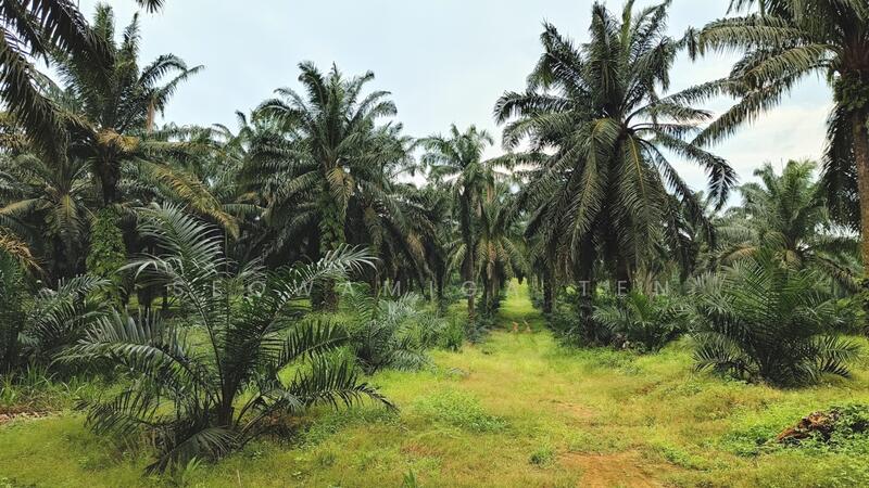 26.75 Acre Agriculture Land At Gerisek,Bukit Gambir untuk Untuk Dijual - RM 5,617,500, Apr 2026 - Exterior - PropertyGuru.com.my