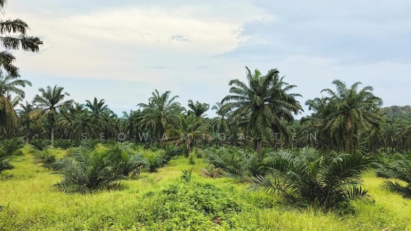 Agricultural Land for Sale in Bukit Gambir (Grisek) - Seowamiga Ten - Garden - PropertyGuru.com.my