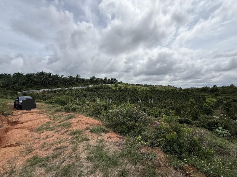 Agricultural Land for Sale in Kampung Seelong Jaya (Senai) - Iden Tan - Exterior - PropertyGuru.com.my