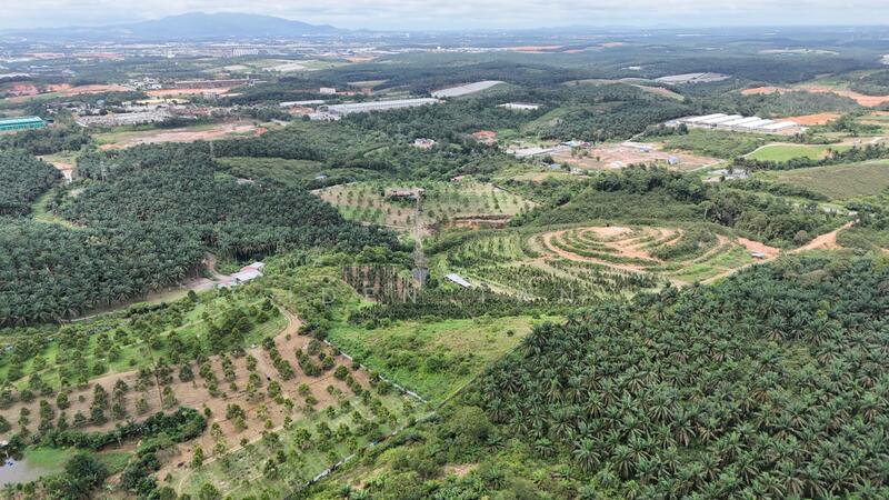 Agricultural Land for Sale in Kampung Seelong Jaya (Senai) - Iden Tan - Exterior - PropertyGuru.com.my