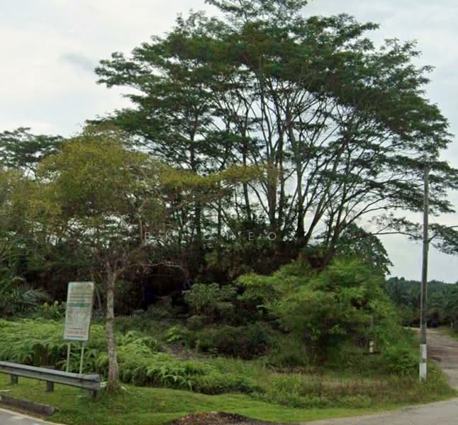 Agricultural Land for Sale in Kulai (Johor) - BK Cheok - PropertyGuru.com.my