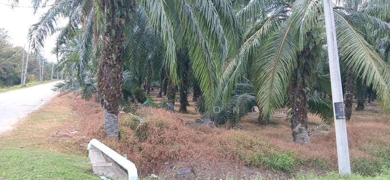 Commercial Land for Sale in Ijok (Selangor) - Y.L. Yong - PropertyGuru.com.my