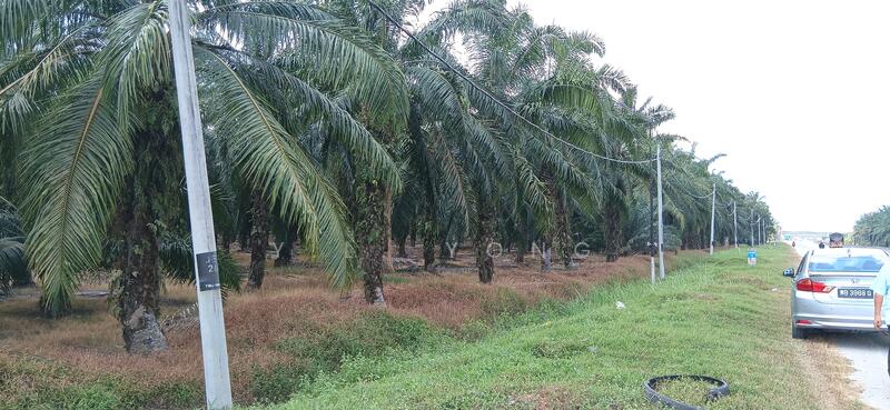 Commercial Land for Sale in Ijok (Selangor) - Y.L. Yong - PropertyGuru.com.my