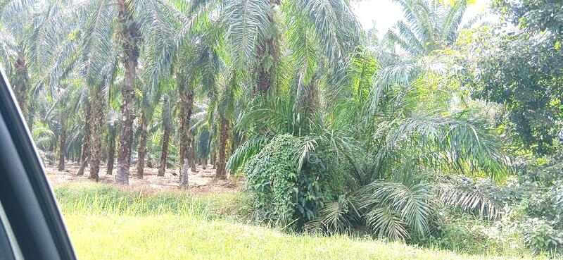Commercial Land for Sale in Ijok (Selangor) - Y.L. Yong - Exterior - PropertyGuru.com.my