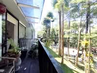 For Sale - 20trees