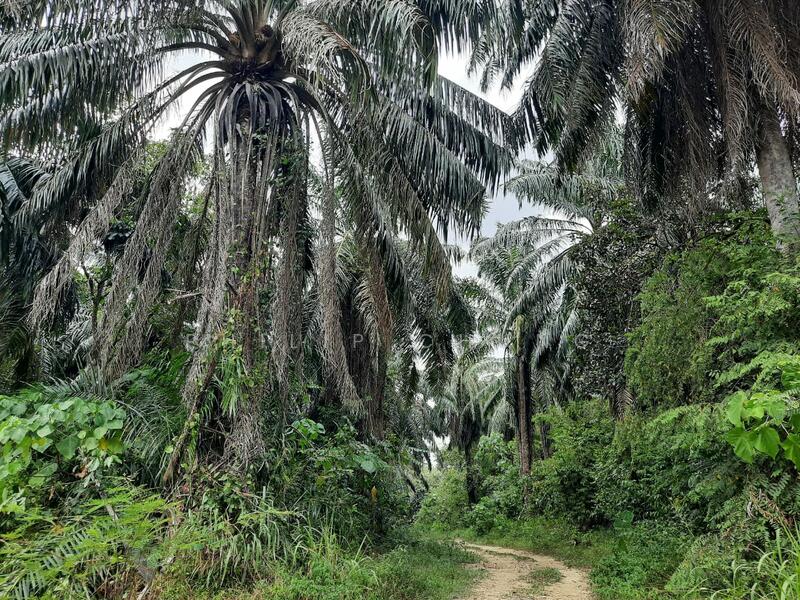 Commercial Land for Rent in Semenyih (Selangor) - Philip Chung - Exterior - PropertyGuru.com.my