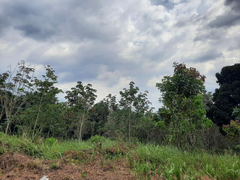 Sungai Lalang untuk Untuk Disewa - RM 9,888 /bulan, Feb 2026 - Exterior - PropertyGuru.com.my