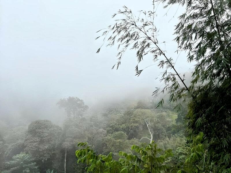 Agricultural Land for Sale in Bentong (Pahang) - Esther Tan - Exterior - PropertyGuru.com.my