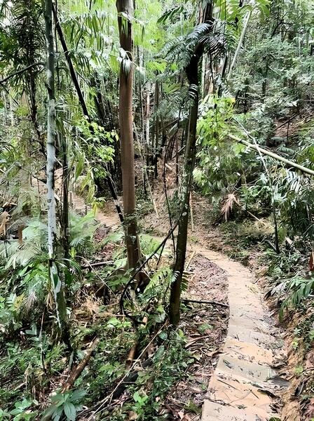 Agricultural Land for Sale in Bentong (Pahang) - Esther Tan - Exterior - PropertyGuru.com.my