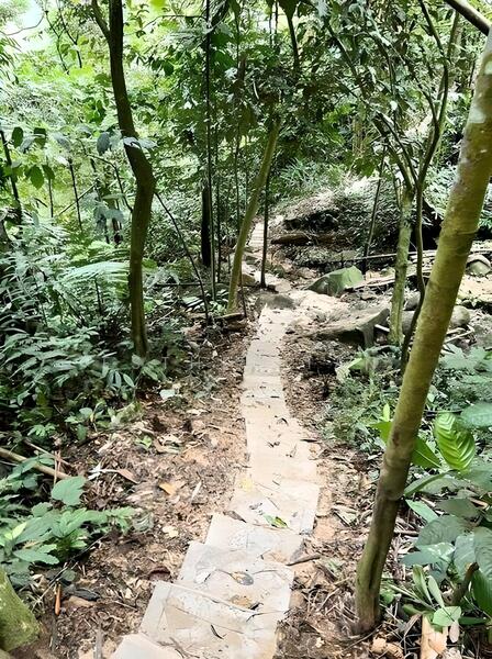 Agricultural Land for Sale in Bentong (Pahang) - Esther Tan - Exterior - PropertyGuru.com.my
