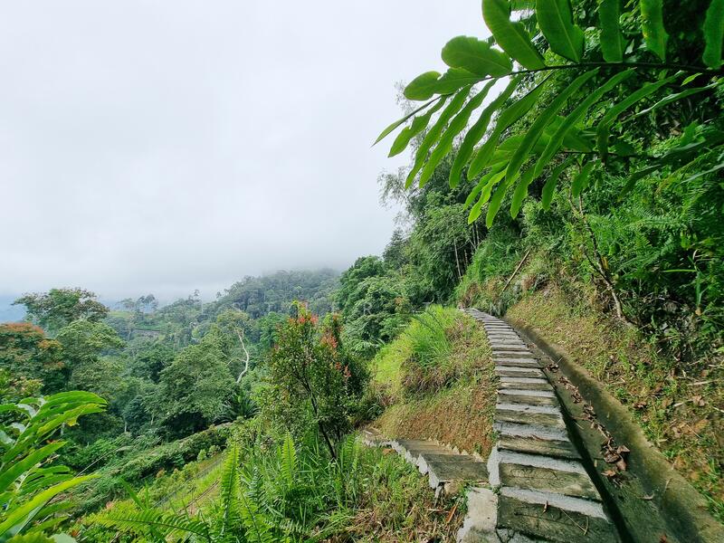 Agricultural Land for Sale in Bentong (Pahang) - Esther Tan - Exterior - PropertyGuru.com.my
