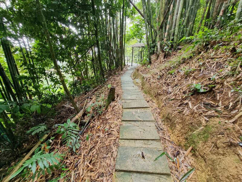 Agricultural Land for Sale in Bentong (Pahang) - Esther Tan - Exterior - PropertyGuru.com.my