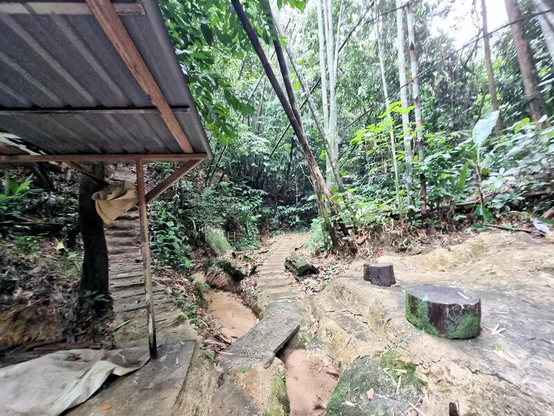 Agricultural Land for Sale in Bentong (Pahang) - Esther Tan - Exterior - PropertyGuru.com.my