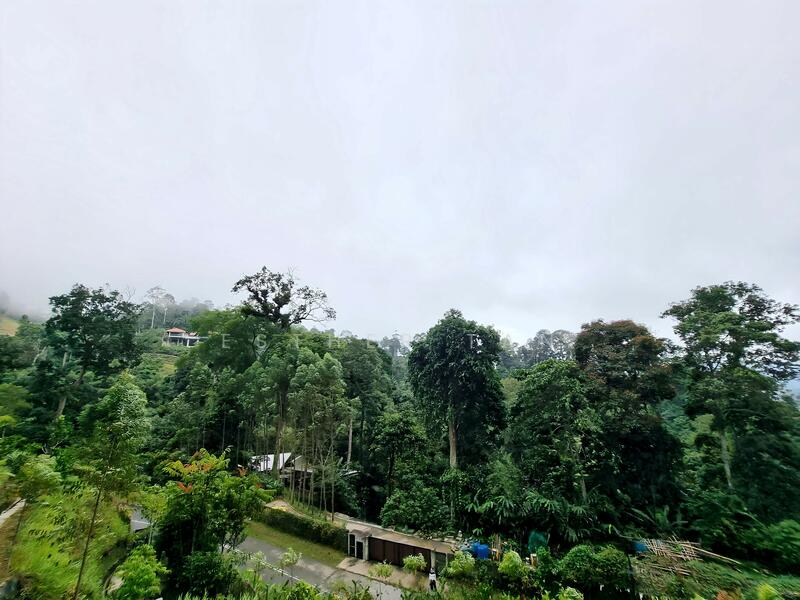 Agricultural Land for Sale in Bentong (Pahang) - Esther Tan - Exterior - PropertyGuru.com.my