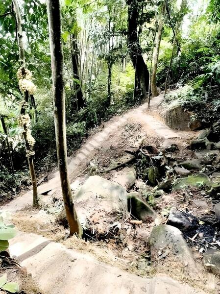 Agricultural Land for Sale in Bentong (Pahang) - Esther Tan - Exterior - PropertyGuru.com.my