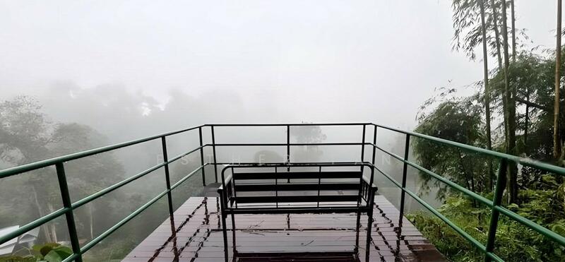 Agricultural Land for Sale in Bentong (Pahang) - Esther Tan - View - PropertyGuru.com.my