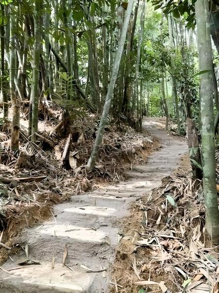 Agricultural Land for Sale in Bentong (Pahang) - Esther Tan - Exterior - PropertyGuru.com.my