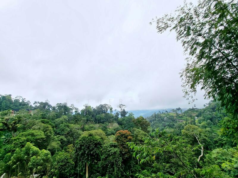 Agricultural Land for Sale in Bentong (Pahang) - Esther Tan - Exterior - PropertyGuru.com.my
