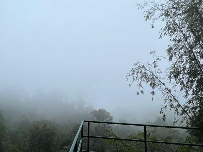 Agricultural Land for Sale in Bentong (Pahang) - Esther Tan - Exterior - PropertyGuru.com.my