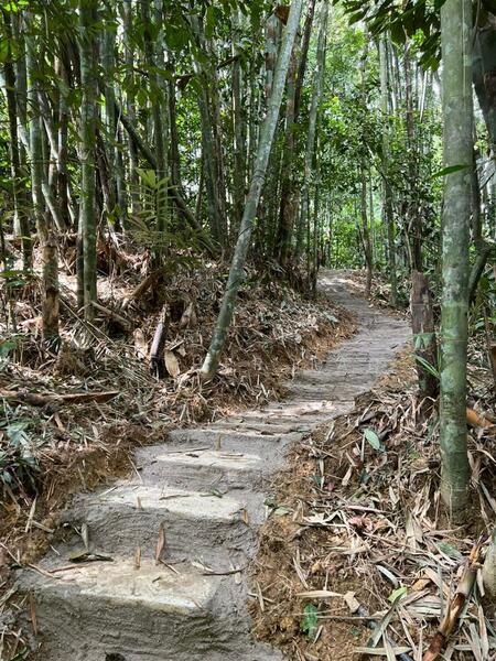 Agricultural Land for Sale in Bentong (Pahang) - Esther Tan - Exterior - PropertyGuru.com.my