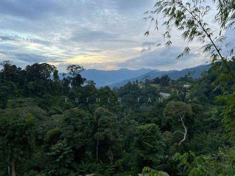 Agricultural Land for Sale in Bentong (Pahang) - Esther Tan - Exterior - PropertyGuru.com.my