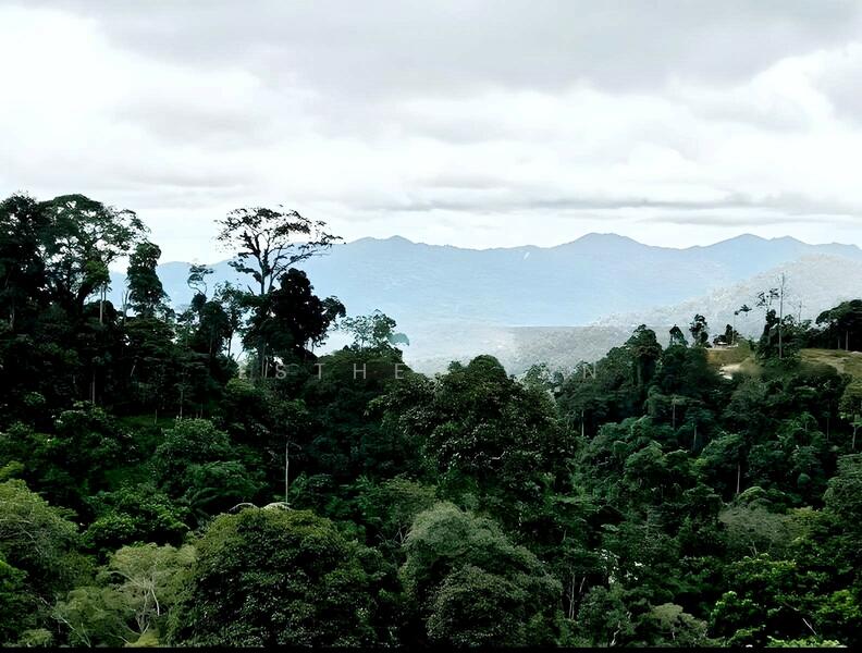 Agricultural Land for Sale in Bentong (Pahang) - Esther Tan - View - PropertyGuru.com.my