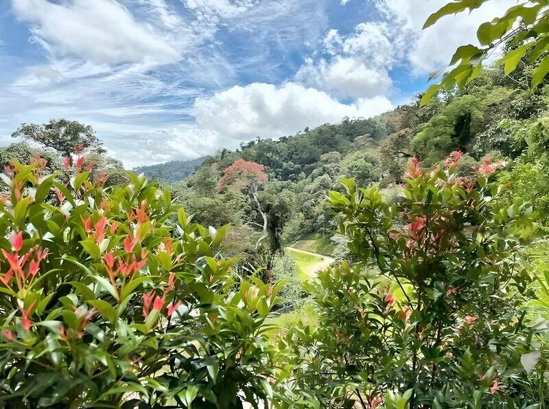 Agricultural Land for Sale in Bentong (Pahang) - Esther Tan - Exterior - PropertyGuru.com.my