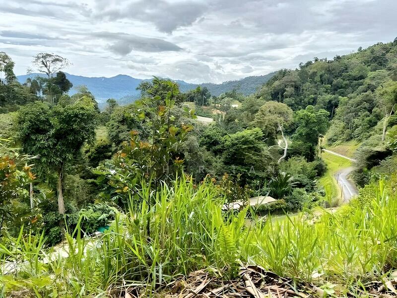 Agricultural Land for Sale in Bentong (Pahang) - Esther Tan - Exterior - PropertyGuru.com.my