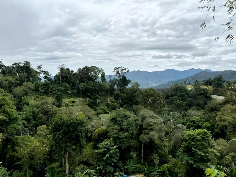 Agricultural Land for Sale in Bentong (Pahang) - Esther Tan - View - PropertyGuru.com.my