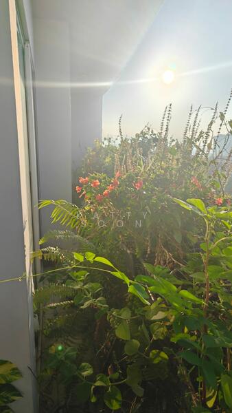 Condominium for Sale at Casa Green Condominium - Katty Soon - PropertyGuru.com.my