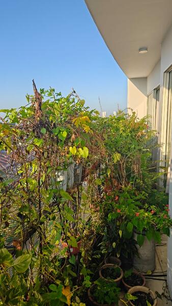 Condominium for Sale at Casa Green Condominium - Katty Soon - PropertyGuru.com.my