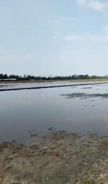 Agricultural Land for Sale in Bukit Mertajam (Penang) - Zalelawati . - Exterior - PropertyGuru.com.my