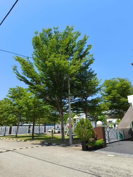 3-storey Terraced House for Sale in Bukit Mertajam (Penang) - KY Wu - PropertyGuru.com.my