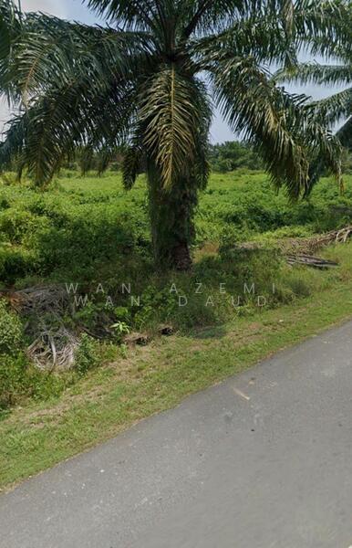 Industrial Land for Sale in Kuala Selangor (Selangor) - Wan Azemi Wan Daud - Exterior - PropertyGuru.com.my