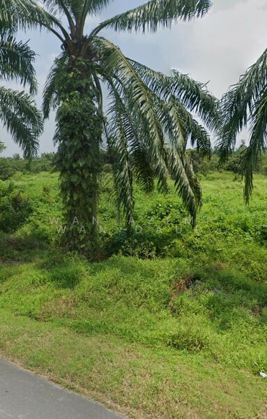 Industrial Land for Sale in Kuala Selangor (Selangor) - Wan Azemi Wan Daud - Garden - PropertyGuru.com.my