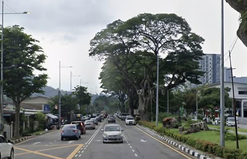 3-storey Terraced House for Sale in Tanjung Bungah (Penang) - Caiwei Chew - PropertyGuru.com.my