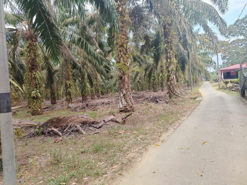Kampung Kubu Gajah untuk Untuk Dijual - RM 5,400,000, Apr 2026 - Exterior - PropertyGuru.com.my