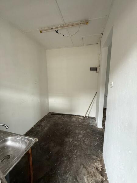 Untuk Dijual - Orkid