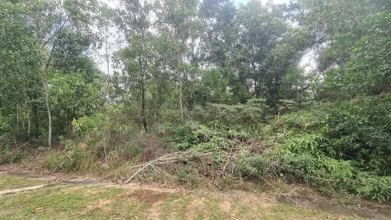Tanah Kediaman untuk Dijual di Bandar Tasik Kesuma (Beranang) - MAN CHOW - Exterior - PropertyGuru.com.my