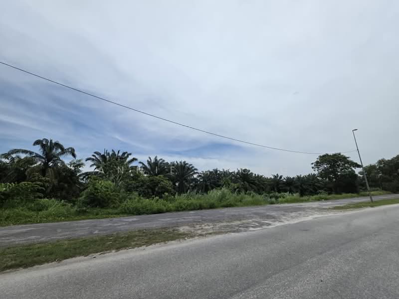 Residential Land for Sale in Bandar Baru Salak Tinggi (Sepang) - Annie Chong - Exterior - PropertyGuru.com.my