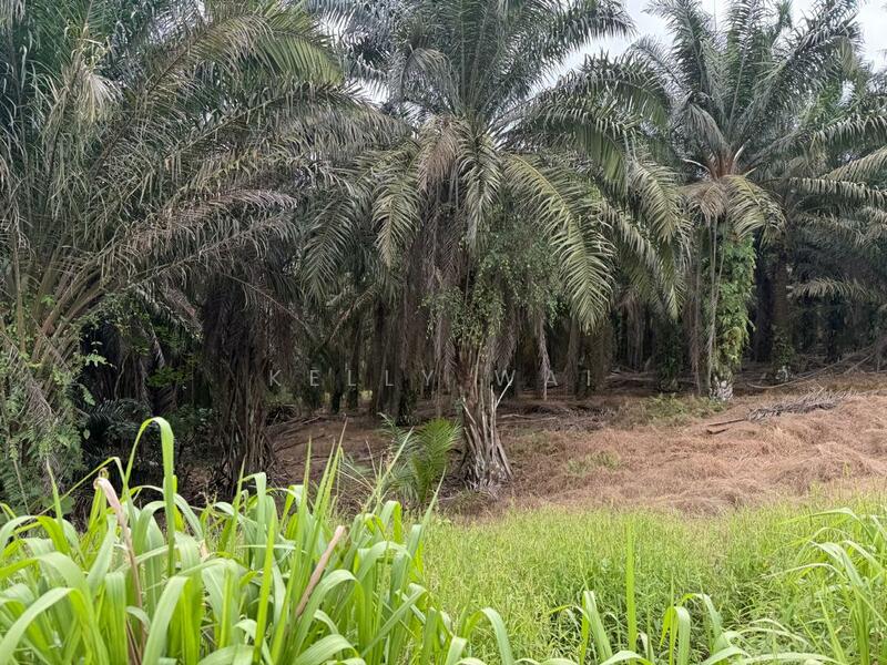 Agricultural Land for Sale in Senai (Johor) - Kelly Wai - Exterior - PropertyGuru.com.my