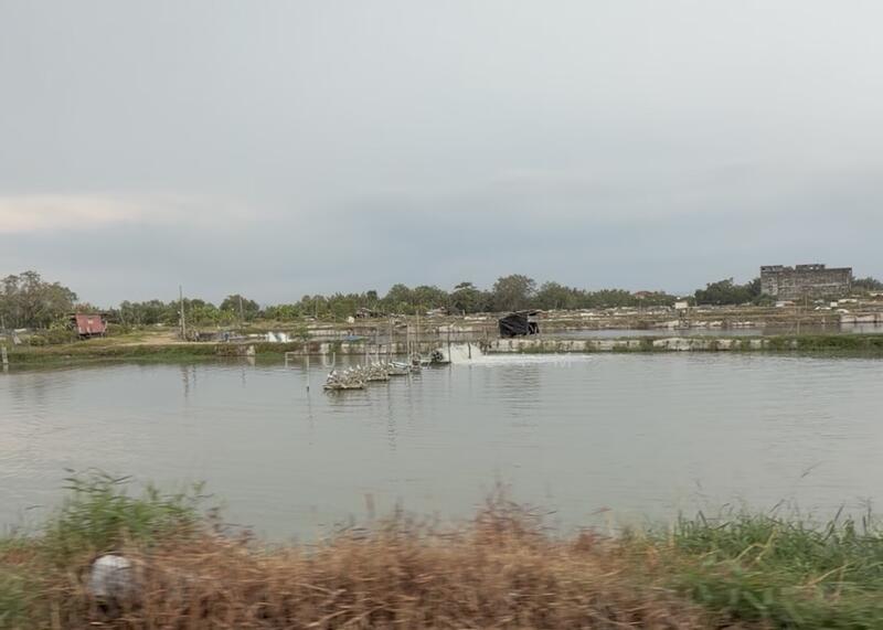 Agricultural Land for Sale in Nibong Tebal (Penang) - Fung Lim - Exterior - PropertyGuru.com.my