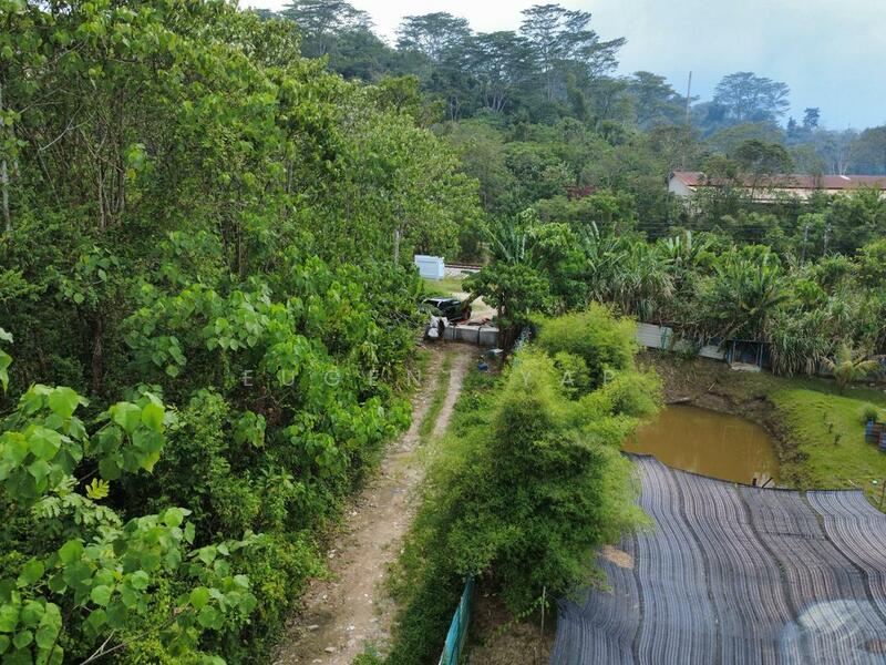 Agricultural Land for Sale in Rawang Perdana (Rawang) - Eugene Yap - Garden - PropertyGuru.com.my