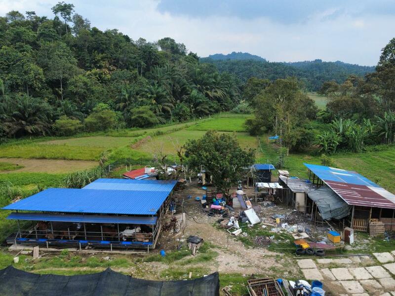 Agricultural Land for Sale in Rawang Perdana (Rawang) - Eugene Yap - PropertyGuru.com.my
