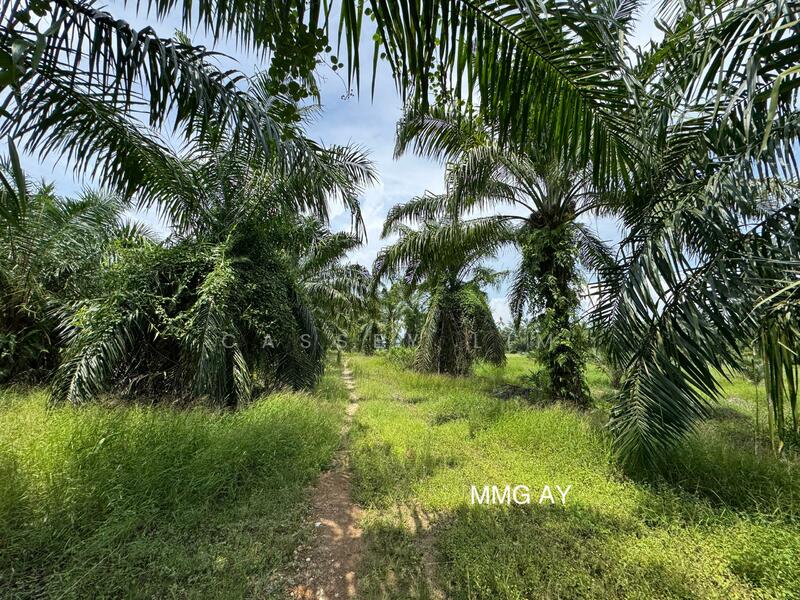 Kampung Perepat untuk Untuk Dijual - RM 2,622,747, Feb 2026 - Exterior - PropertyGuru.com.my