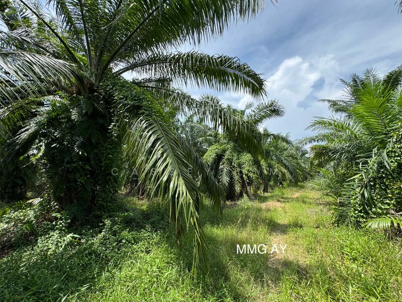 Kampung Perepat untuk Untuk Dijual - RM 2,622,747, Feb 2026 - Exterior - PropertyGuru.com.my