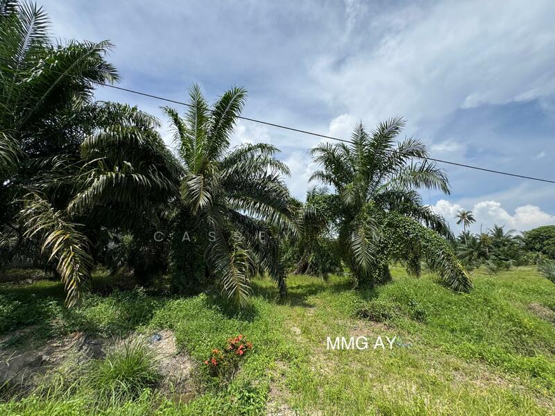 Kampung Perepat untuk Untuk Dijual - RM 2,622,747, Feb 2026 - Garden - PropertyGuru.com.my