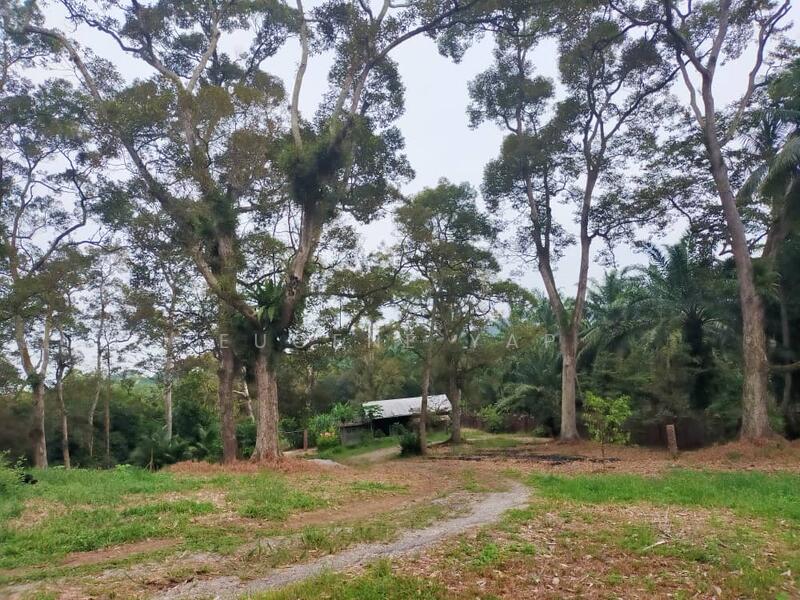Agricultural Land for Sale in Senggarang (Johor) - Eugene Yap - PropertyGuru.com.my
