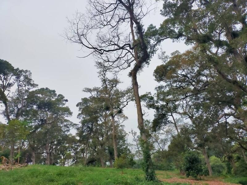 Agricultural Land for Sale in Senggarang (Johor) - Eugene Yap - PropertyGuru.com.my